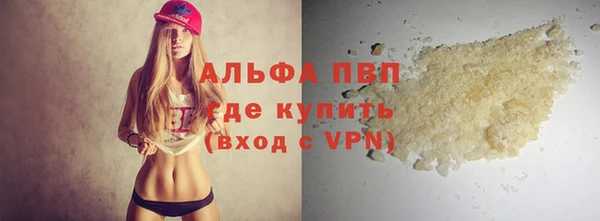 гашик Корсаков