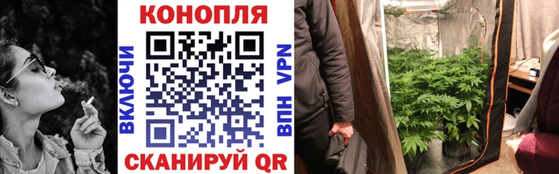 Марихуана THC 21%  Купить где  Шадринск 